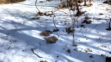 На улице зимой берёт за щёку